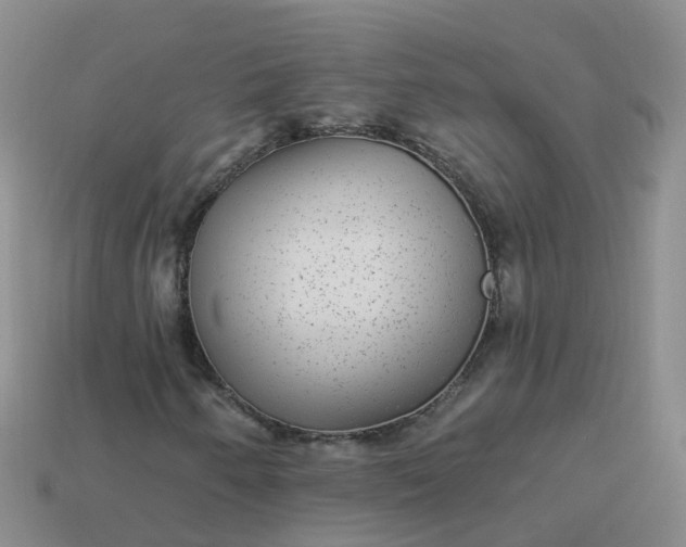 X0000113881250200910081740