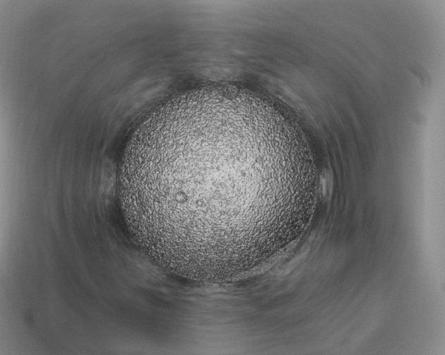 X0000113881251200910081740