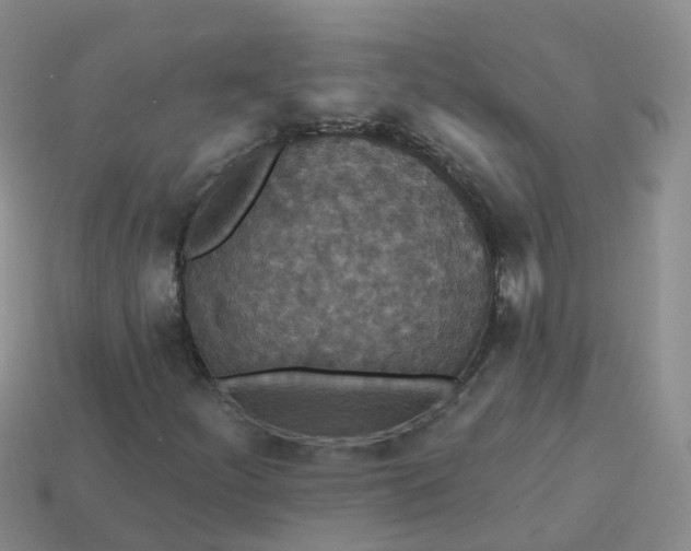 X0000113881252200910081740