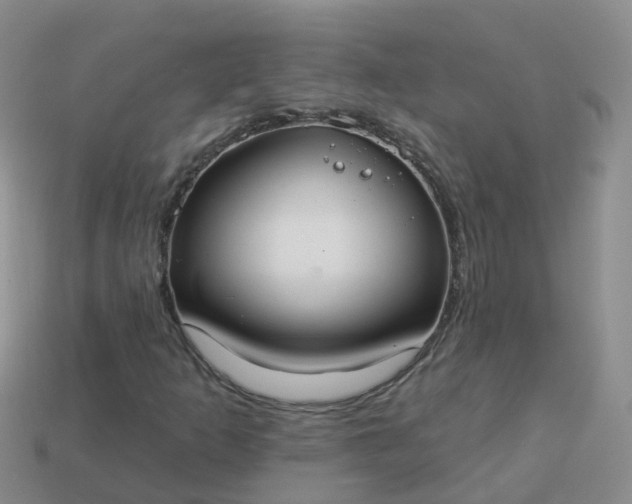 X0000113881253200910081740