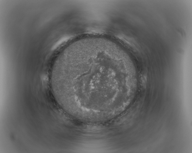 X0000113881254200910081739