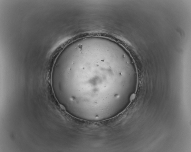 X0000113881255200910081739