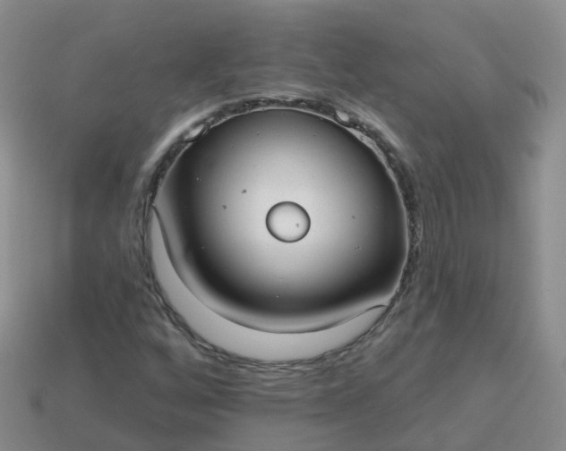 X0000113881256200910081739