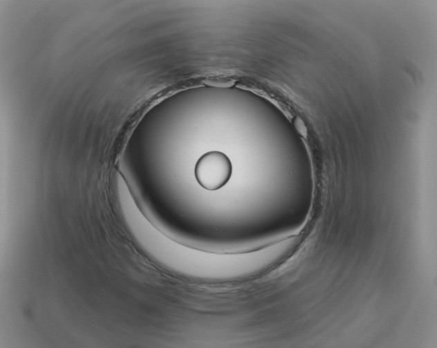 X0000113881257200910081739