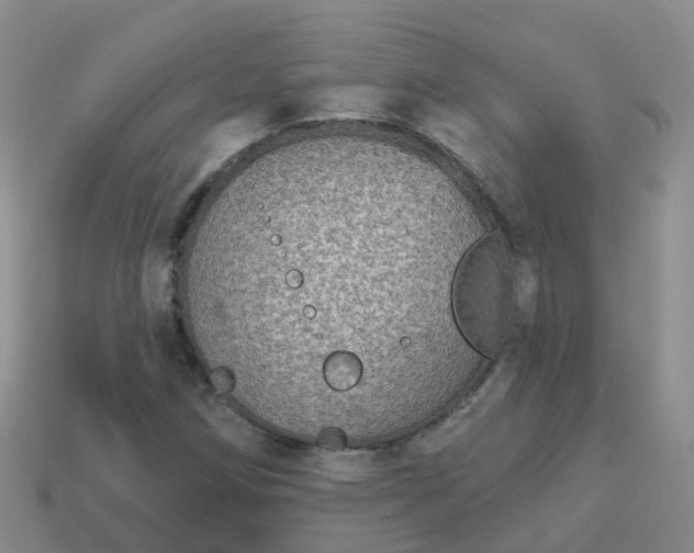 X0000113881258200910081739