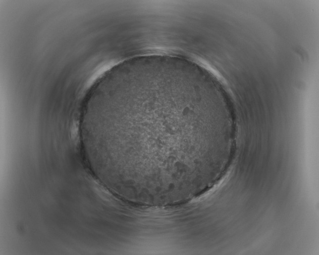 X0000113881259200910081739