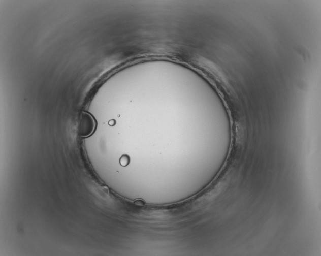 X0000113881260200910081739