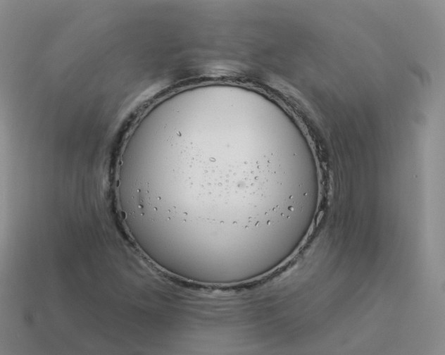 X0000113881261200910081739