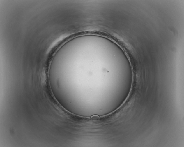 X0000113881262200910081739