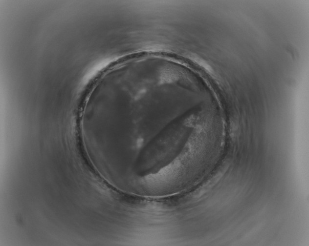 X0000113881263200910081739