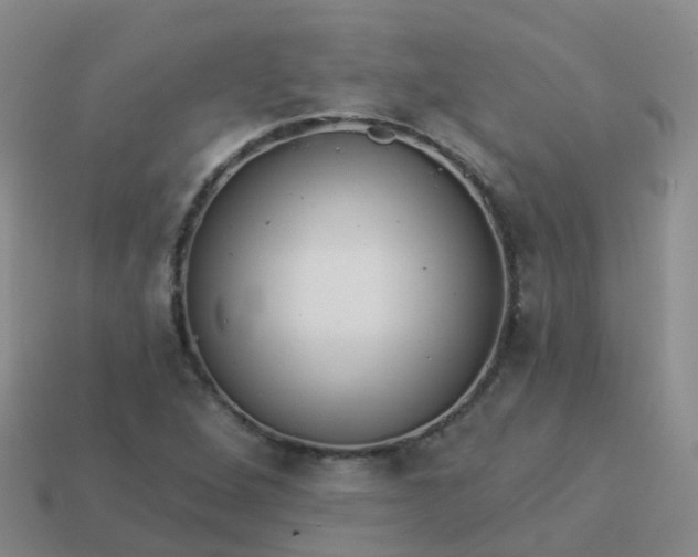 X0000113881264200910081739