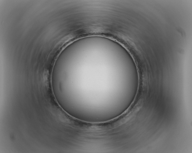 X0000113881265200910081739