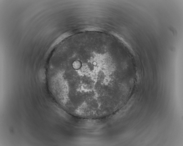 X0000113881266200910081739