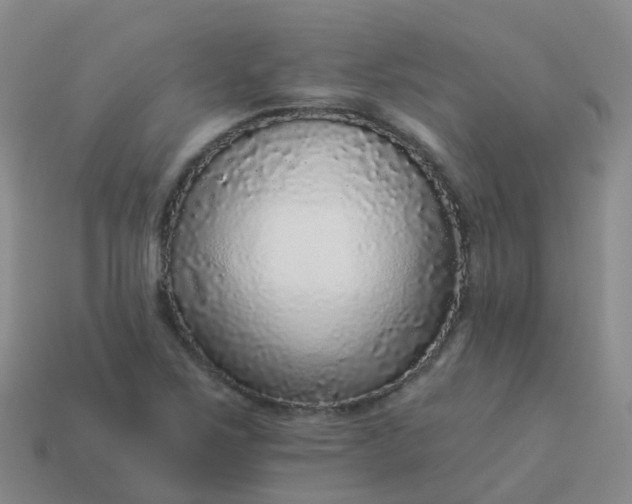 X0000113881267200910081739