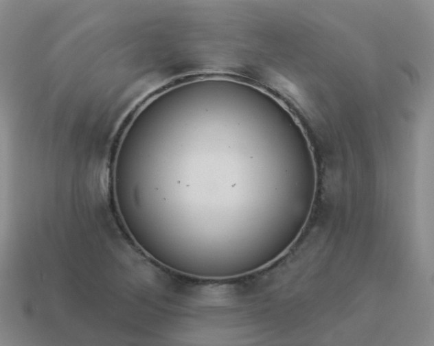 X0000113881268200910081739