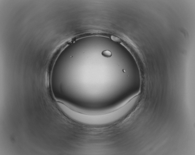 X0000113881269200910081739