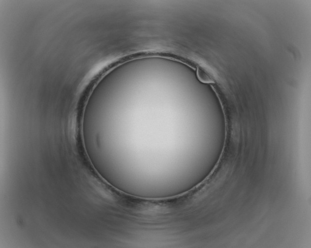 X0000113881270200910081739