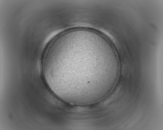 X0000113881271200910081739