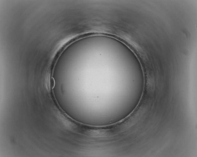 X0000113881272200910081739