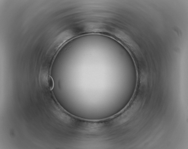 X0000113881273200910081739