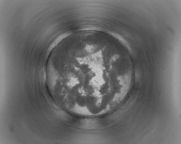 X0000113881274200910081739