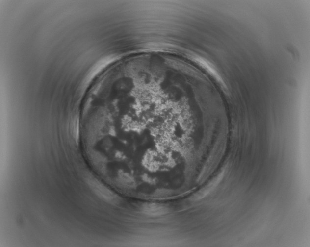 X0000113881275200910081739