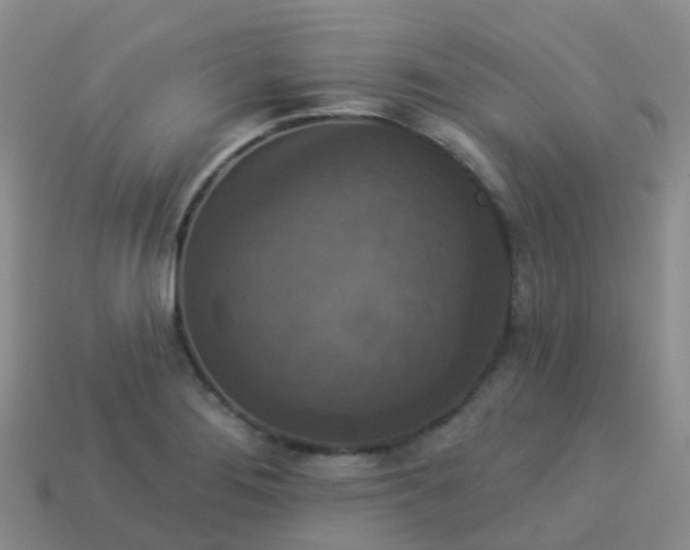 X0000113881276200910081739