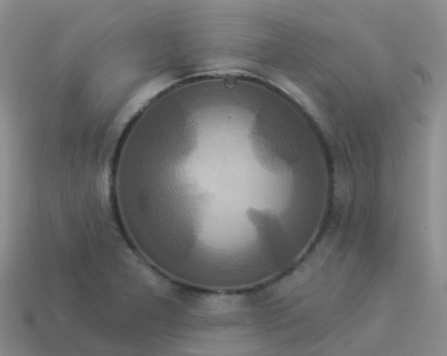 X0000113881277200910081739