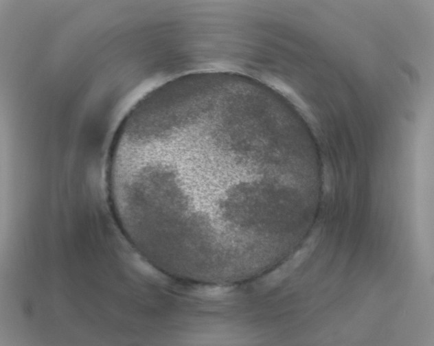 X0000113881278200910081739