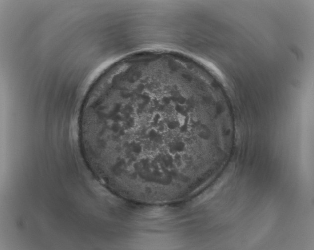 X0000113881279200910081739