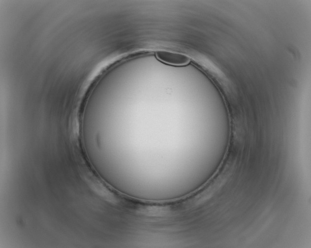 X0000113881280200910081739