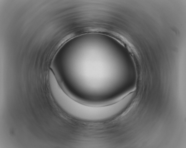 X0000113881281200910081739