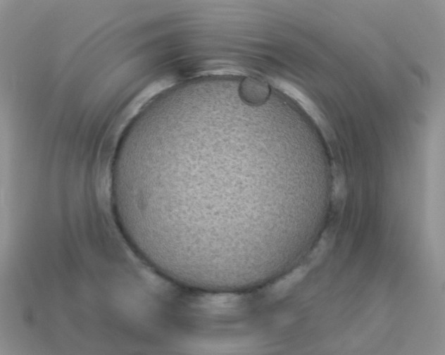 X0000113881282200910081739