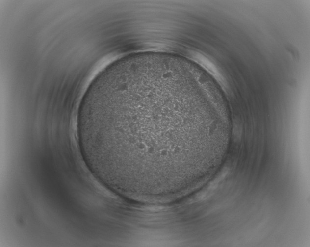 X0000113881283200910081739