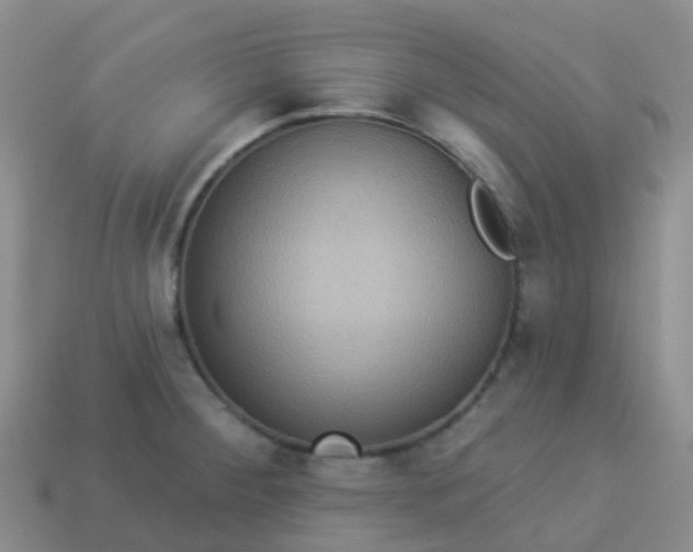 X0000113881284200910081739