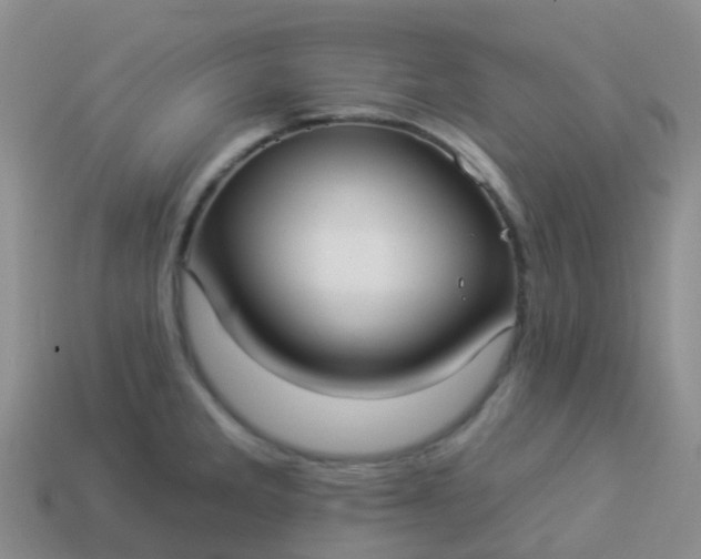 X0000113881285200910081739