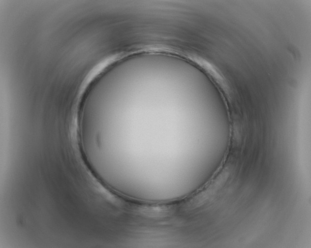 X0000113881286200910081739