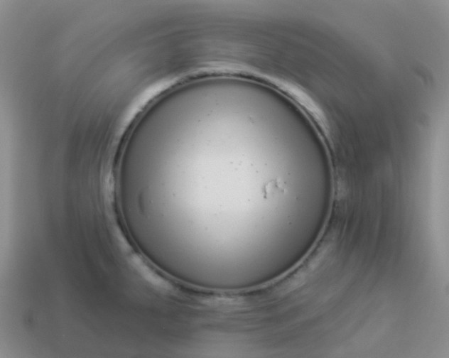 X0000113881287200910081739