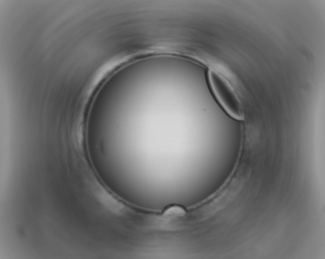 X0000113881288200910081739