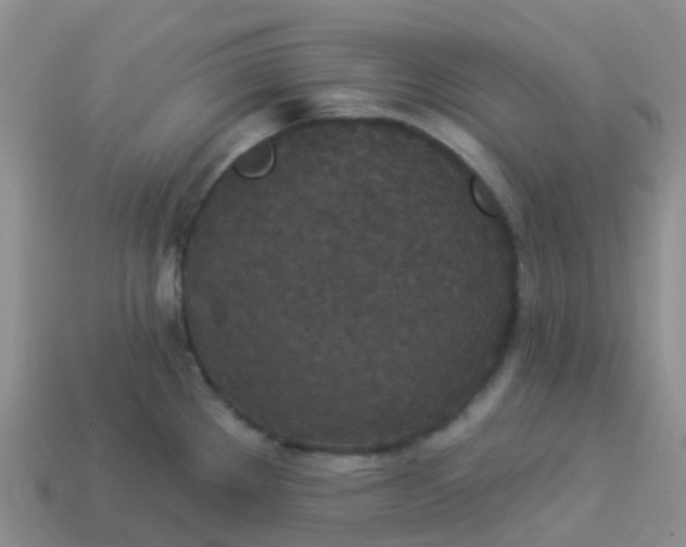 X0000113881289200910081739