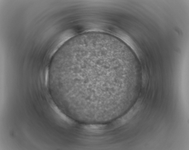 X0000113881290200910081739