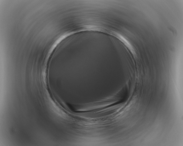 X0000113881291200910081739