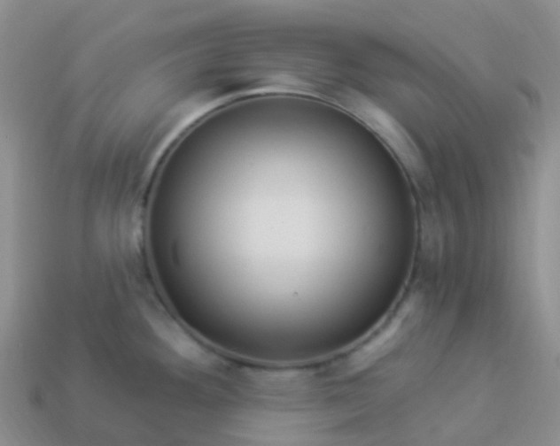 X0000113881292200910081739