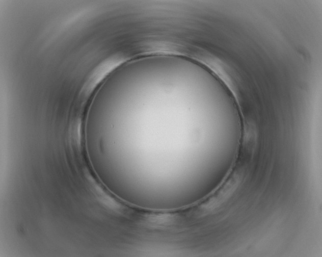 X0000113881293200910081739