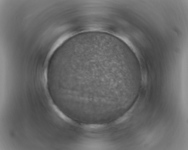 X0000113881294200910081739