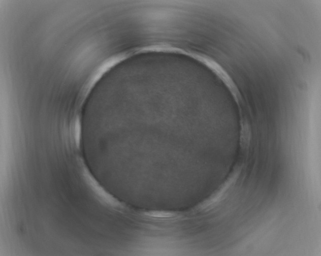 X0000113881295200910081739