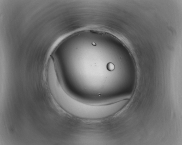 X0000113881296200910081739