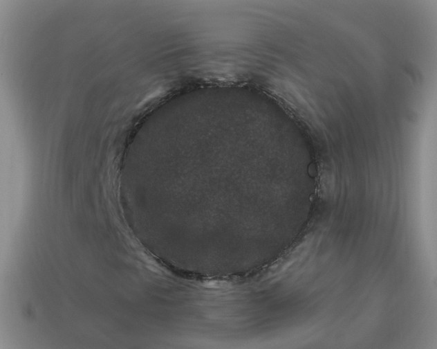 X0000113881297200910081738