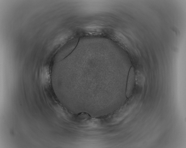 X0000113881298200910081738