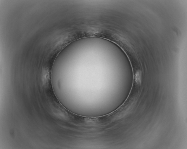 X0000113881299200910081738